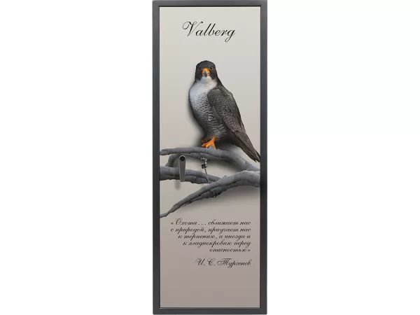 VALBERG САПСАН-4 PRINT